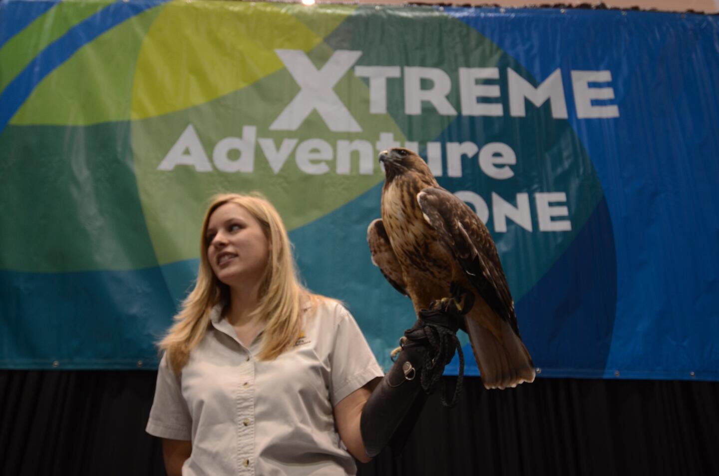 Kiana Lucero of Wildlife Experience holds a red-tailed hawk as part of a presentation on animals.