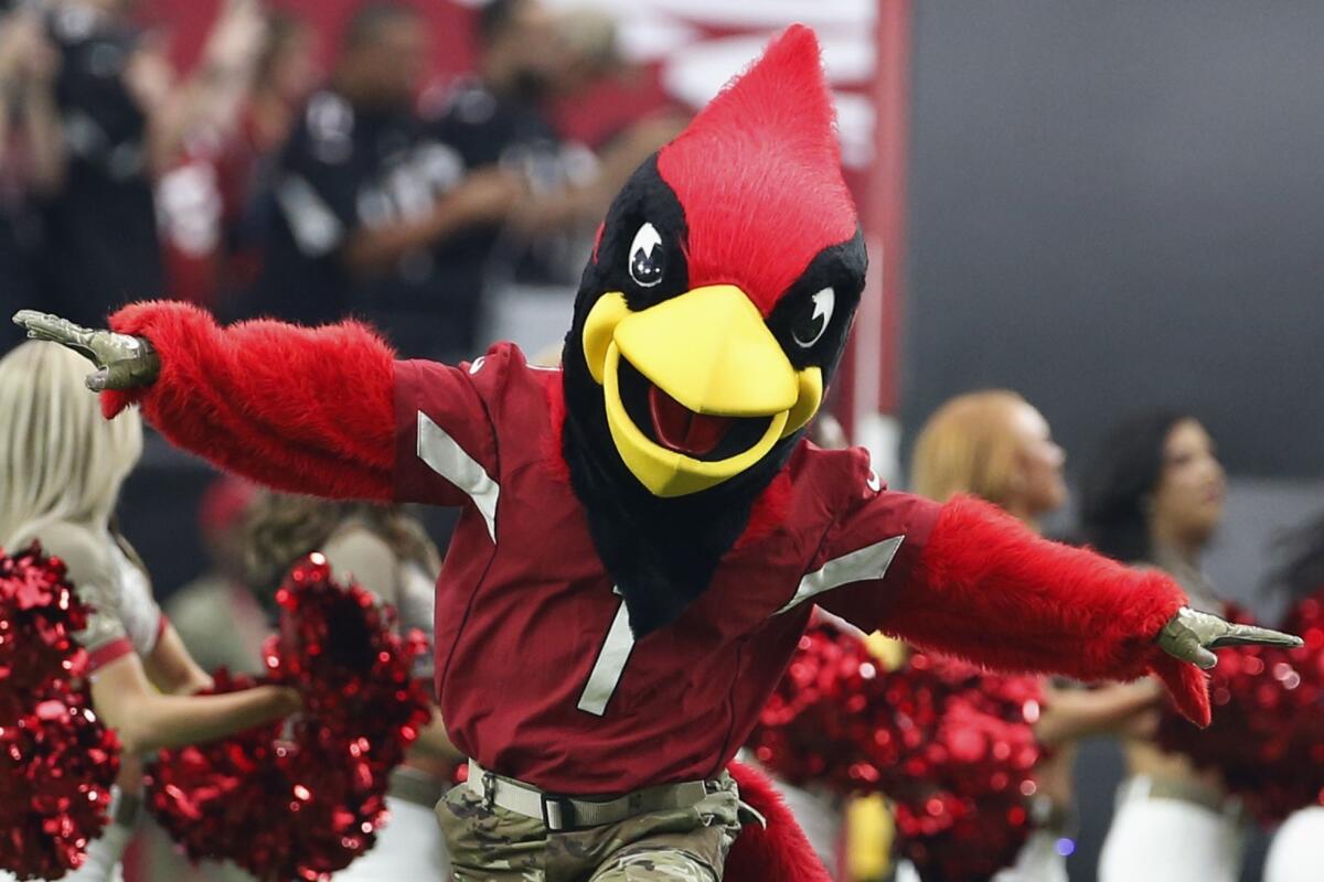 Arizona Cardinals mascot Big Red runs on the field prior to an NFL football game