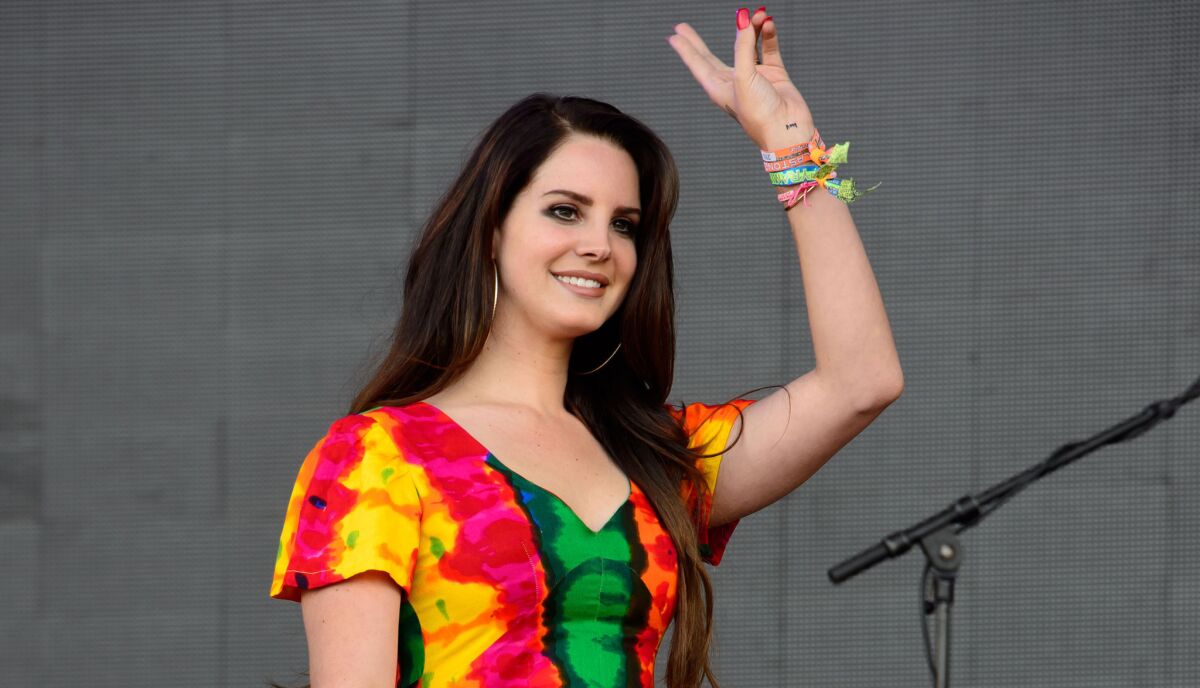 By tweet-targeting a critic, Lana Del Rey got schooled on the nature of criticism.