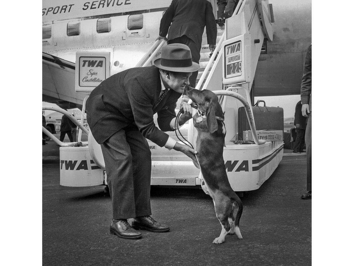 Dec. 29, 1959. First to greet comedian Bob Hope on his return from an eight-day Christmas tour of military bases in Alaska is his dog Recession.