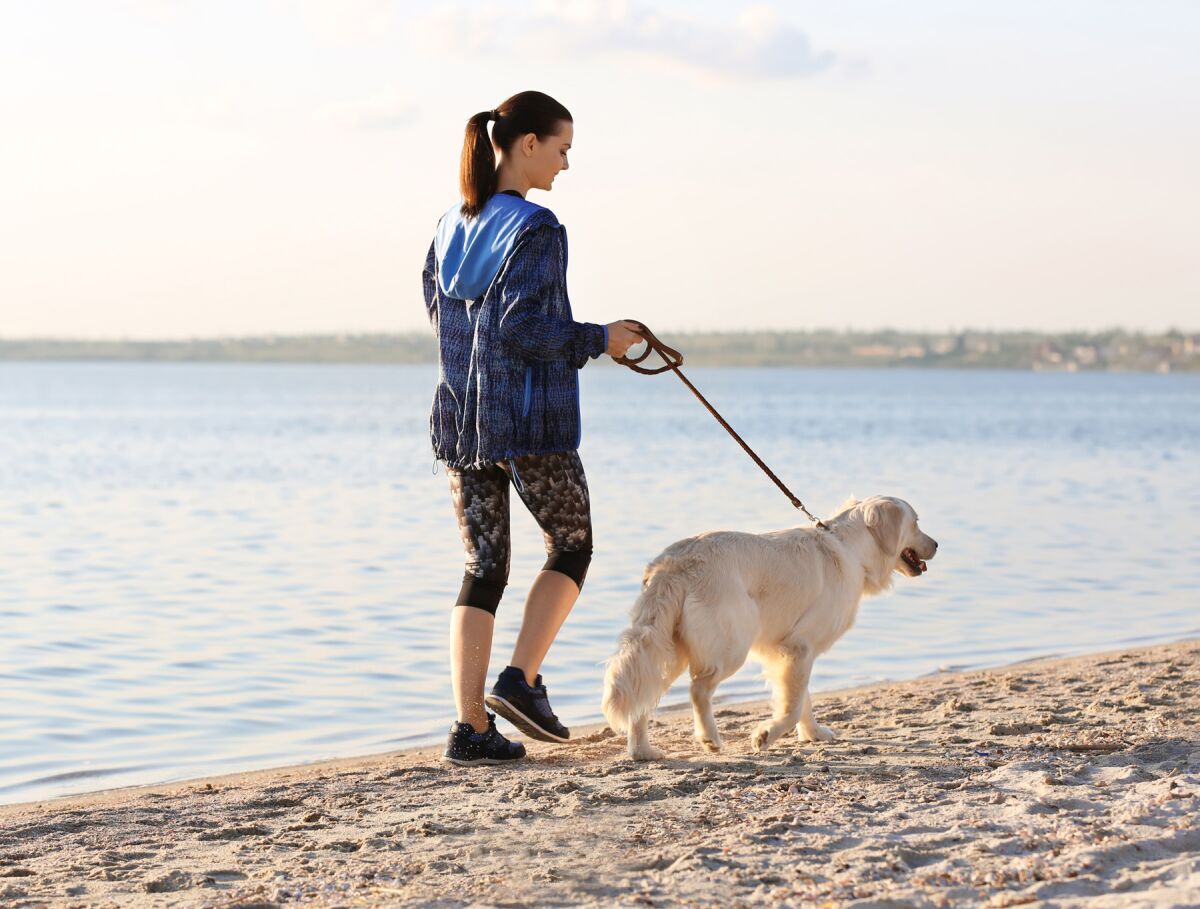 woman walking dog along beach