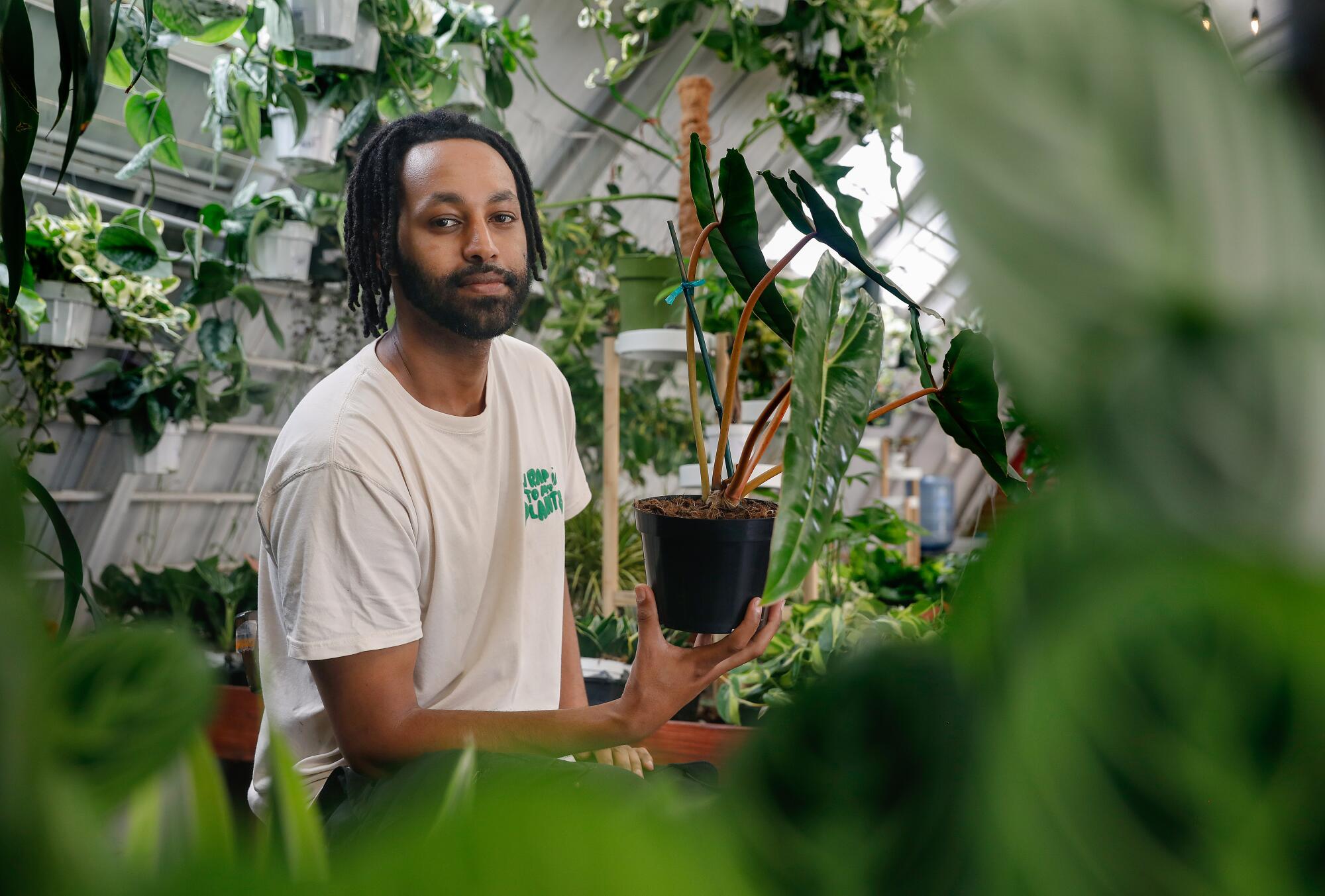 A man in a T-shirt stands among plants in his shop, holding up a potted plant.