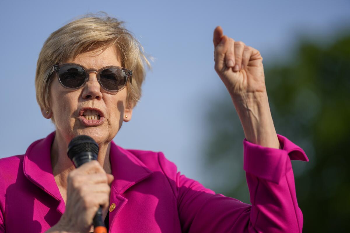 U.S. Sen. Elizabeth Warren (D-Mass.) speaks into a microphone  