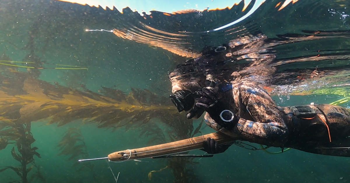 SpearFishing For Ultimate Underwater Predators 40ft DEEP