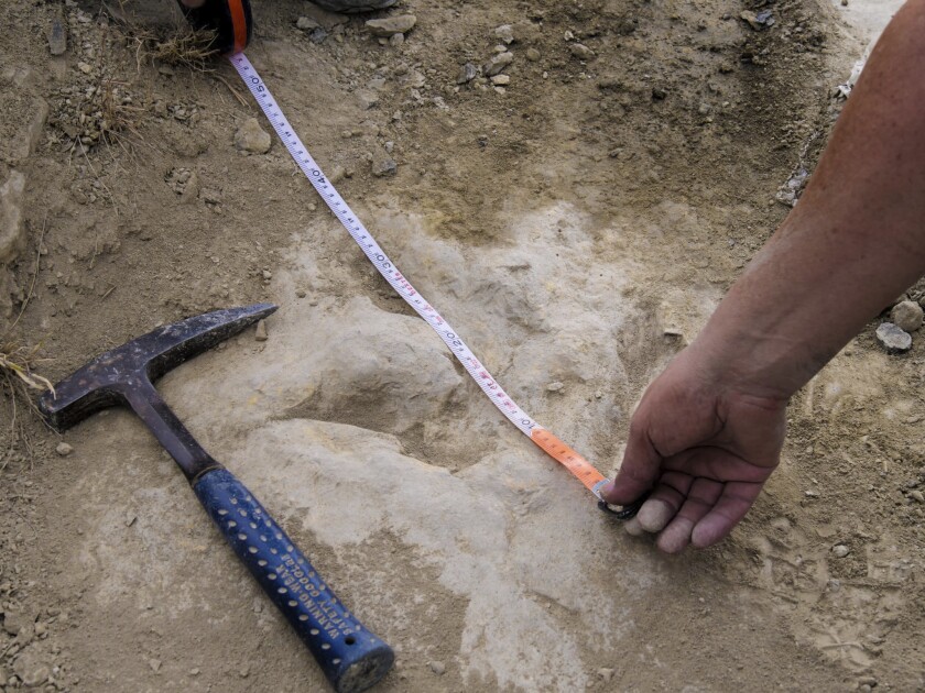 In this October 2020 photo provided by Alberto Labrador, a researcher measures a 120 million year-old fossilized dinosaur footprint the in the La Rioja region in northern Spain, while doing research about dinosaur running speeds. Scientists discovered one of the quickest sets of theropod tracks in the world through this research. (Alberto Labrador via AP)