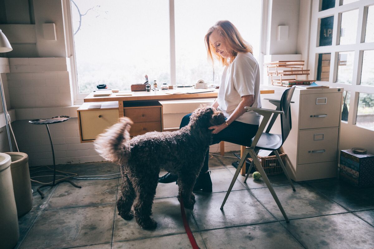 A woman sits at a desk in front of a window and pets a furry brown dog,