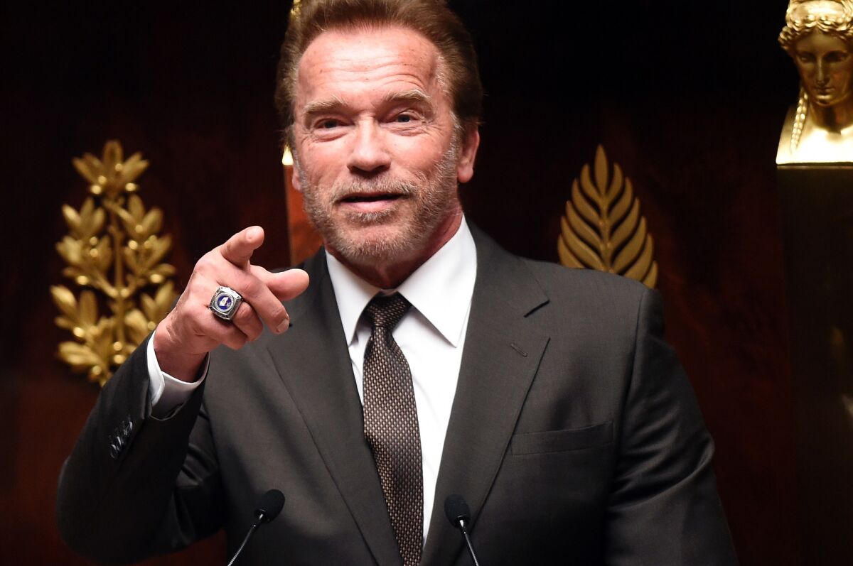 Former Gov. Arnold Schwarzenegger delivers a speech during a parliamentary meeting in Paris.