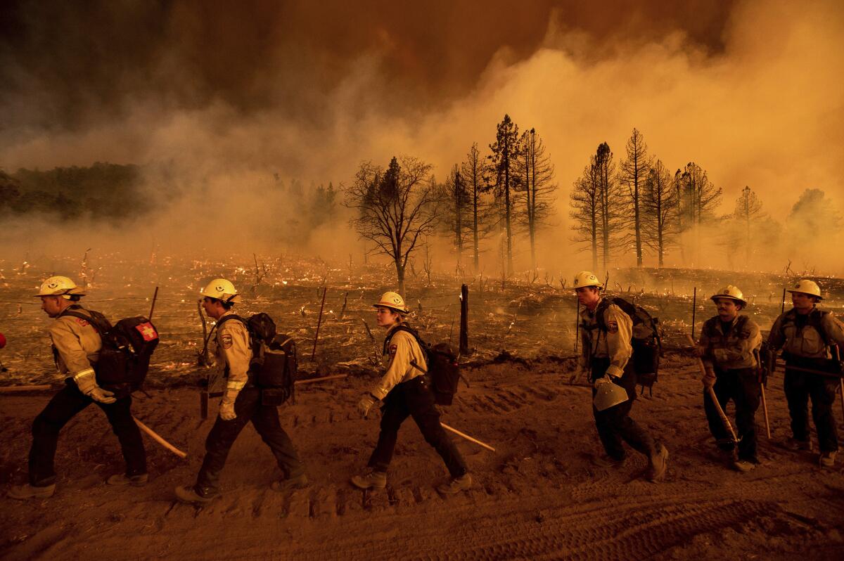 Firefighters walk amid smoldering trees