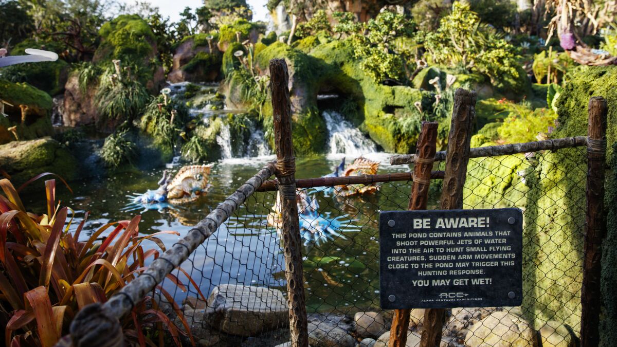 A look at some of the Pandora creatures in one of the land's ponds. (Jay L. Clendenin / Los Angeles Times)