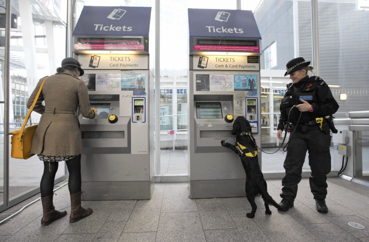 An officer with the British Transport Police patrols with a sniffer dog in London on Nov. 27 as part of Counter-terrorism Awareness Week.