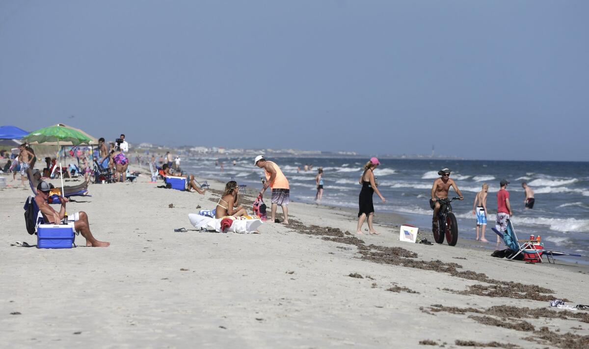 Vacationers relax on the beach in Oak Island, N.C., on June 15, the day after a pair of nearby shark attacks.