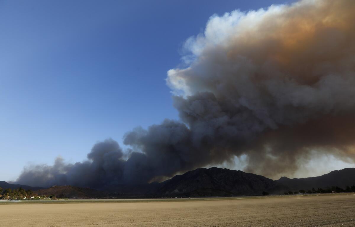The Hill fire burns in Camarillo.