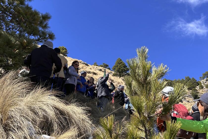 Mariana García López (tercera por la izquierda, con gafas de sol), en el volcán La Malinche durante su coronación como "Reina de las montañas", en la reunión anual del club de escalada, en México, el 25 de febrero de 2024. (AP Foto/India Grant)