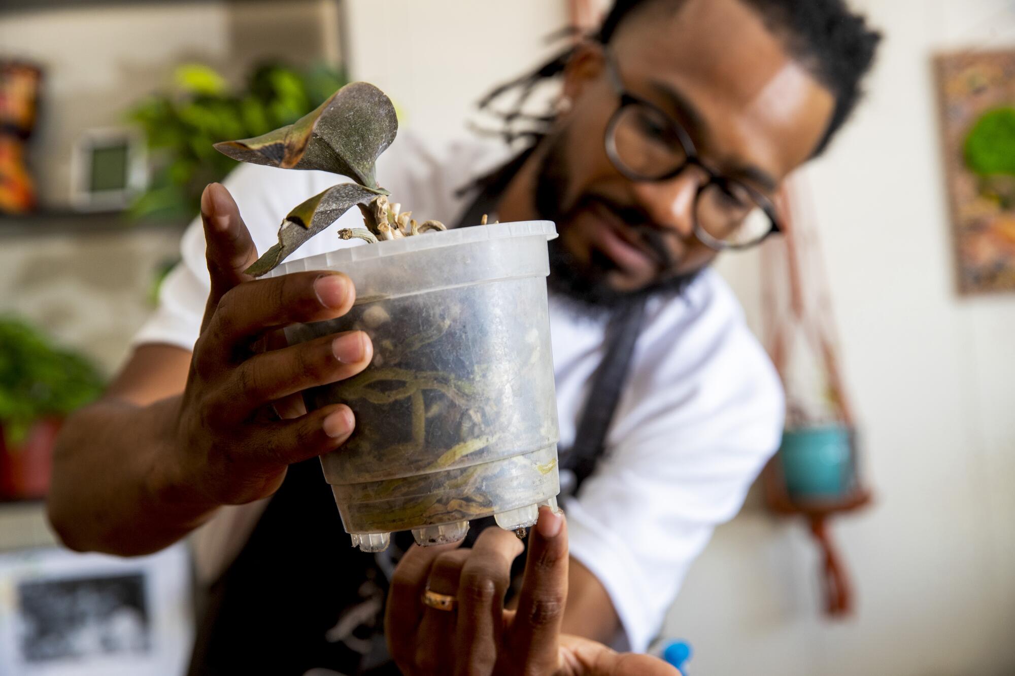 A man holds up a translucent plastic pot that contains an orchid.