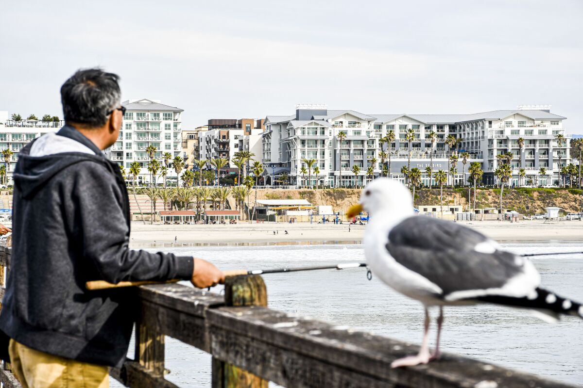 A man fishing off a pier next to a seagull, with two hotels in the distance.
