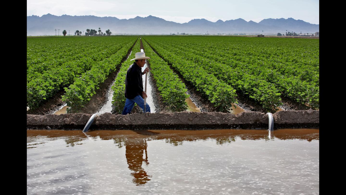 Colorado River crisis