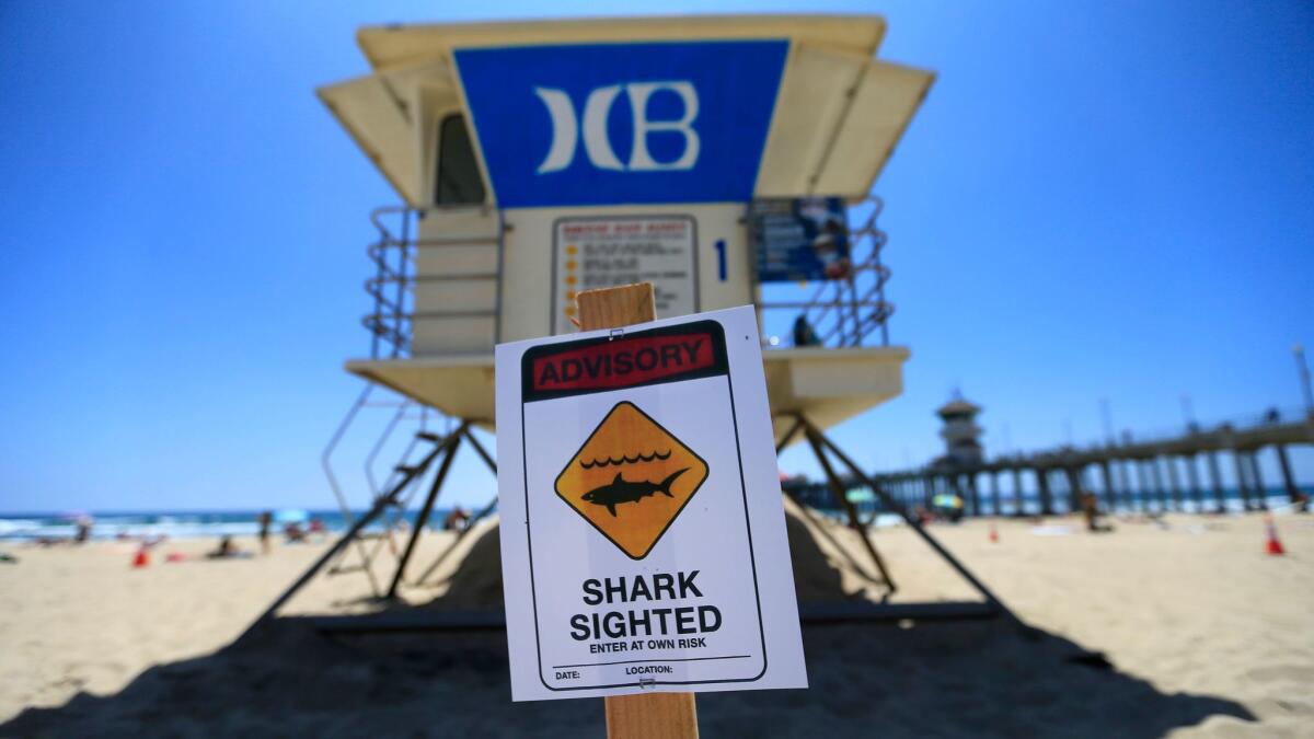 A sign posted near a Huntington Beach lifeguard tower warns beachgoers of possible sharks in the waters.