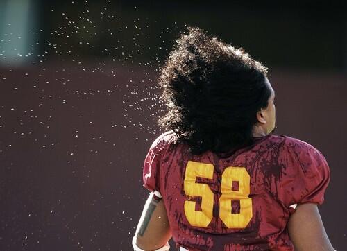 Water flies from the hair of USC's Rey Maualuga during a practice session in Los Angeles.