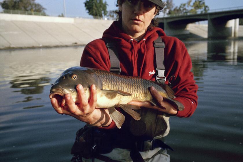 Lauren Mollica with a freshly caught LA River carp in Long Beach.