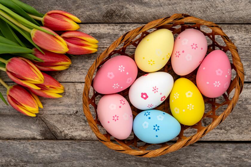 Basket of colorful Easter eggs and a bouquet of orange-yellow tulips on a rustic wooden table. Easter concept.