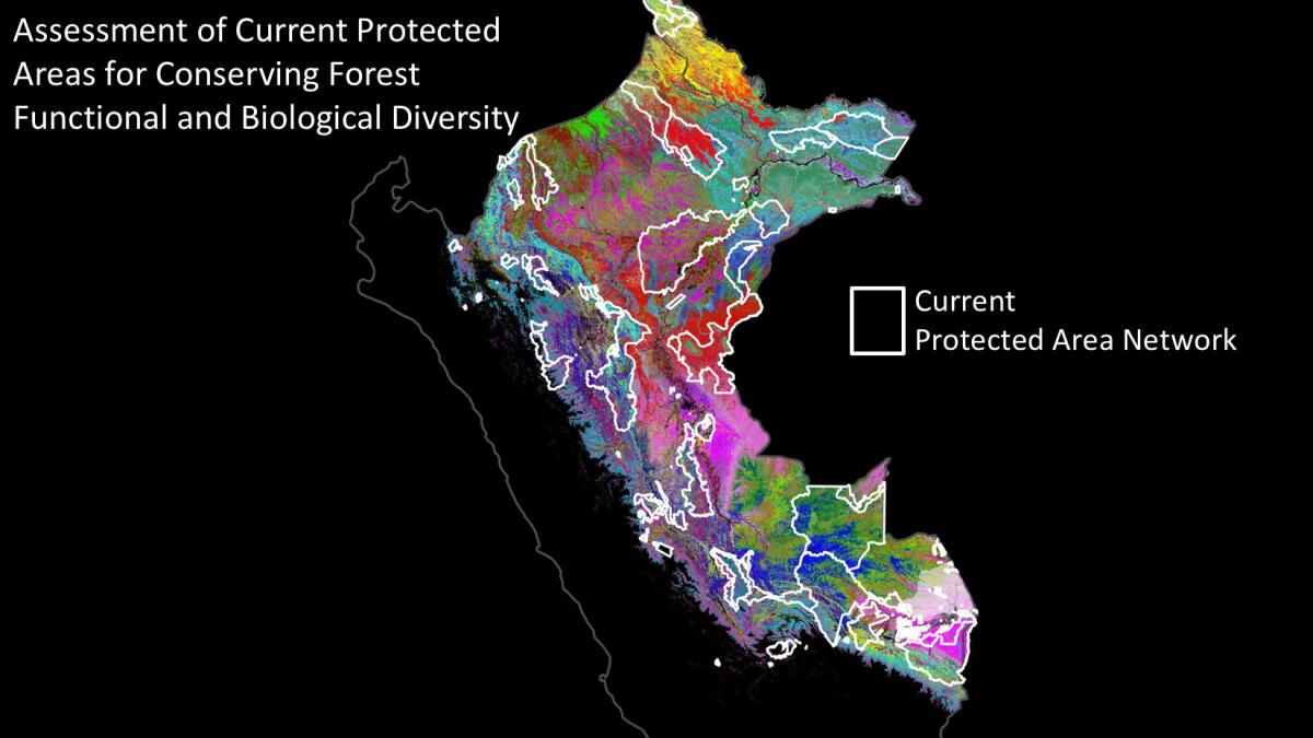 The 36 different forest types are shown through the Andes and Amazonian regions of Peru. Current protected areas are outlined in white.
