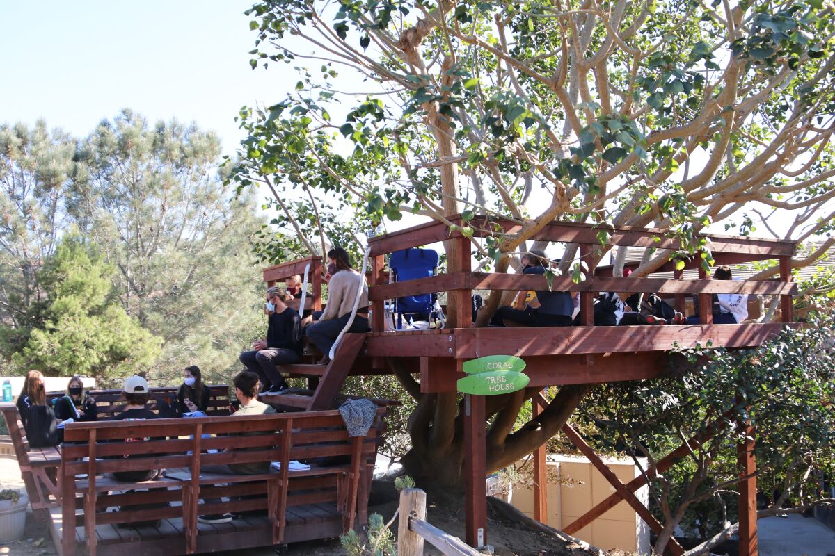A treehouse classroom at The Grauer School.