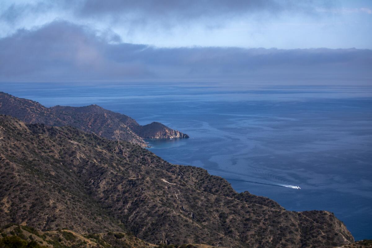 Catalina Island and the Pacific Ocean.