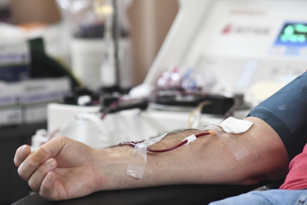 A person donates blood to the American Red Cross.