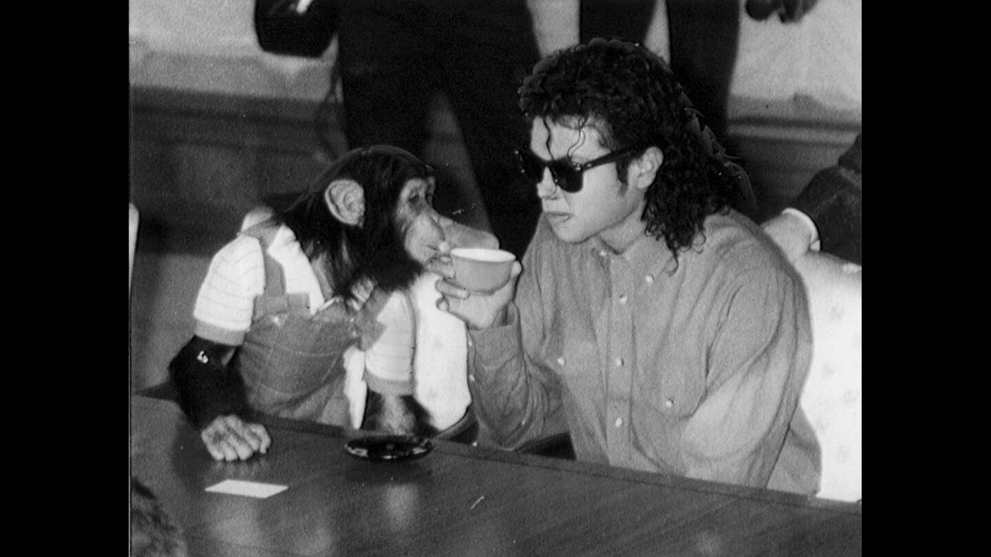 Michael Jackson has tea with Bubbles in Japan.