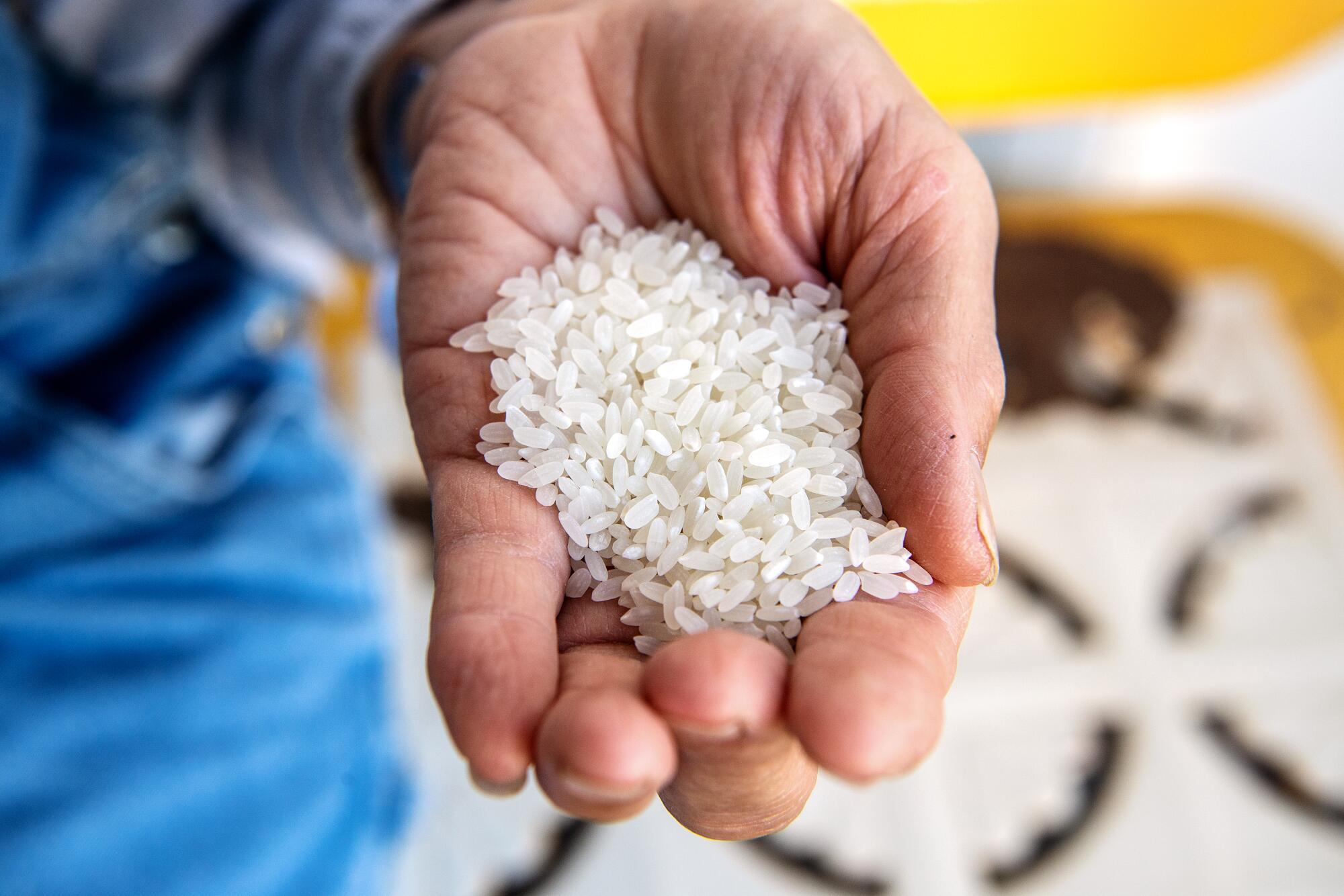 A woman with a handful of uncooked rice. 