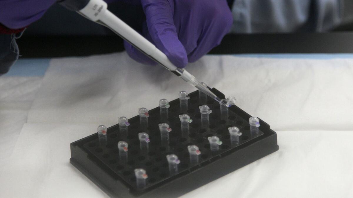 A criminalist works on mitochondrial DNA testing at the state's Department of Justice in Richmond, Calif.