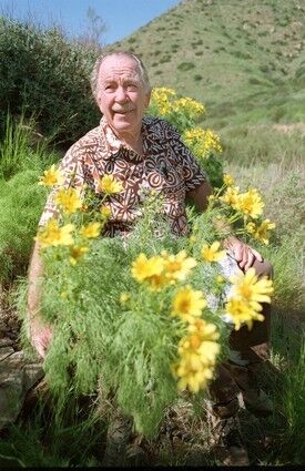 McAuley had a deep love of the land--and chronicled the flora on it. Here, he stands with giant coreopsis on the trail along La Jolla Canyon in Point Mugu State Park, circa 1997.