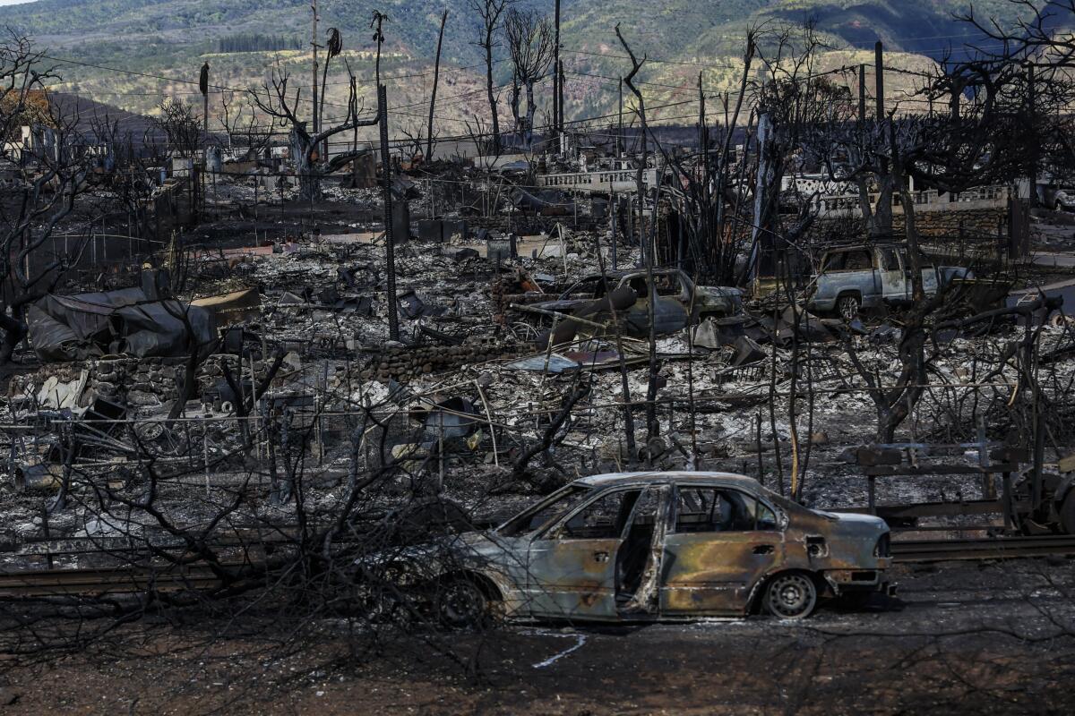 Driven by fierce winds, a fire raged through the Hawaiian island of Maui in August, killing more than 90.