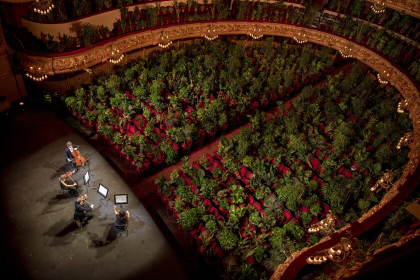 Musicians rehearse at the Gran Teatre del Liceu in Barcelona to an audience of plants on Monday.