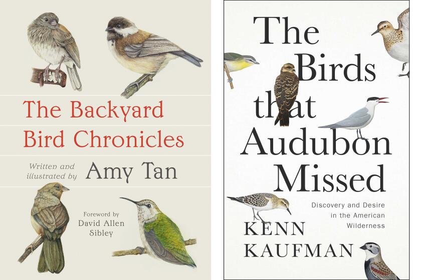 This combination of cover images shows "The Backyard Bird Chronicles" by Amy Tan, left, and "The Birds that Audubon Missed: Discovery and Desire in the American Wilderness" by Kenn Kaufman. (Knopf via AP, left, and Avid Reader Press via AP)