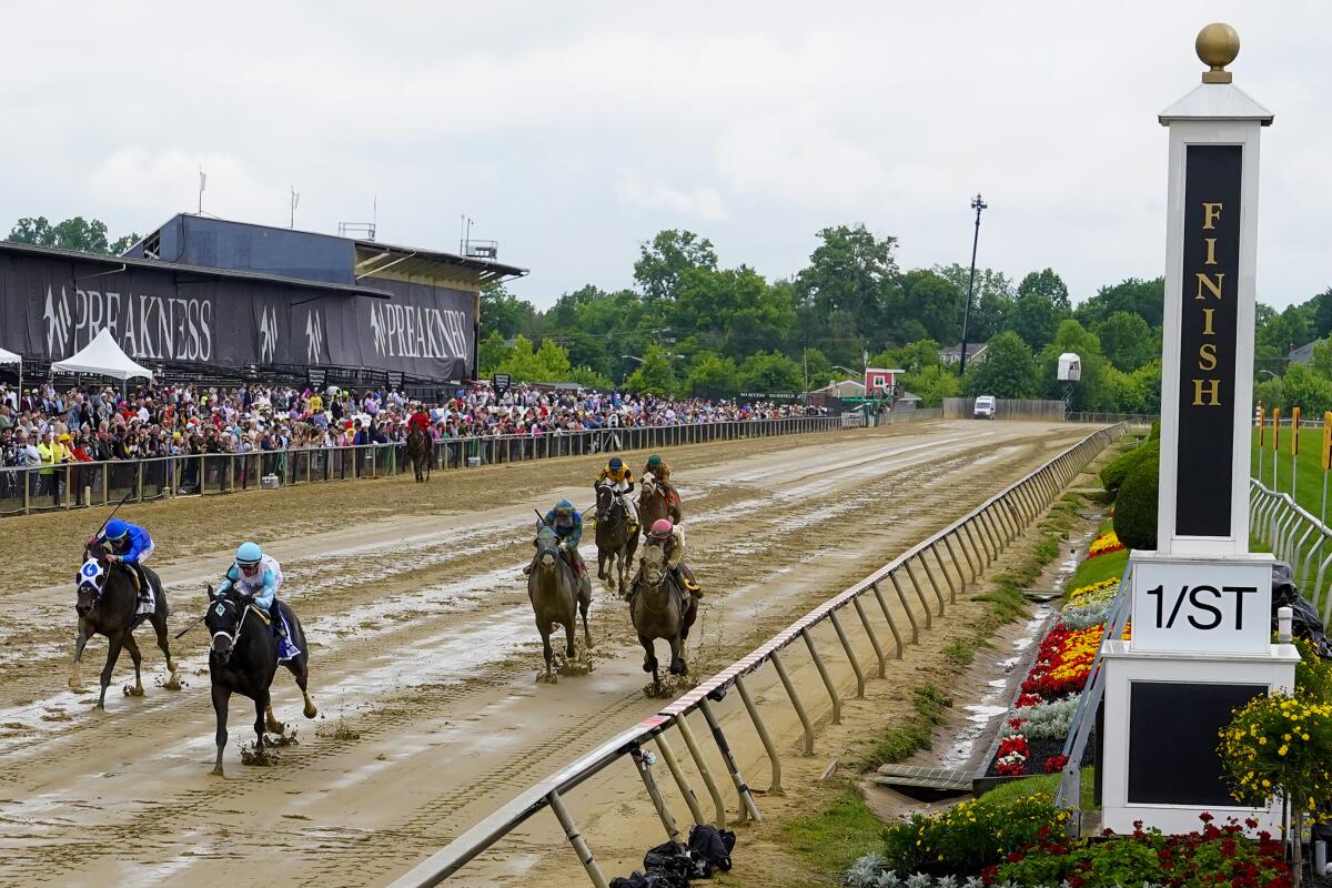 Super Chow, second from left, with jockey Jorge Delgado, wins the Maryland Sprint undercard horse race Saturday 