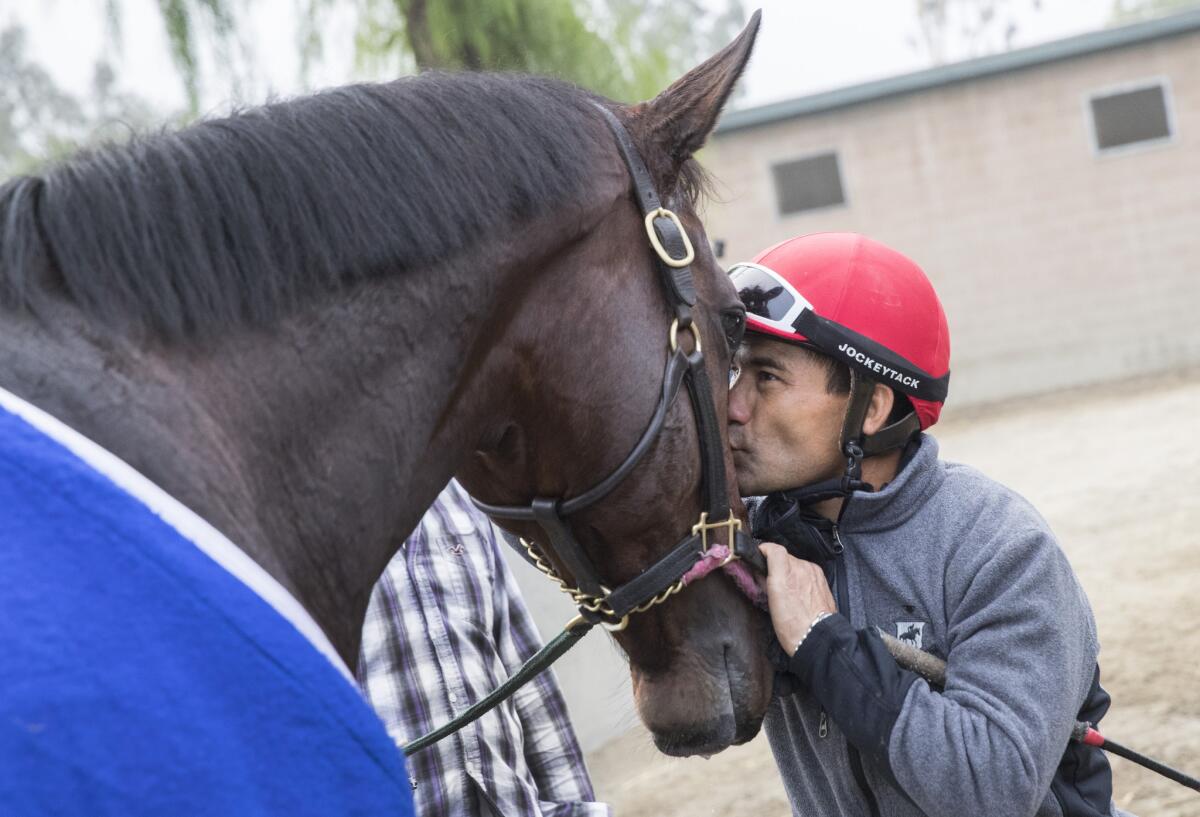 Jockey Corey Nakatani plants a kiss on Bolt d'Oro after after a morning workout at Santa Anita Park.