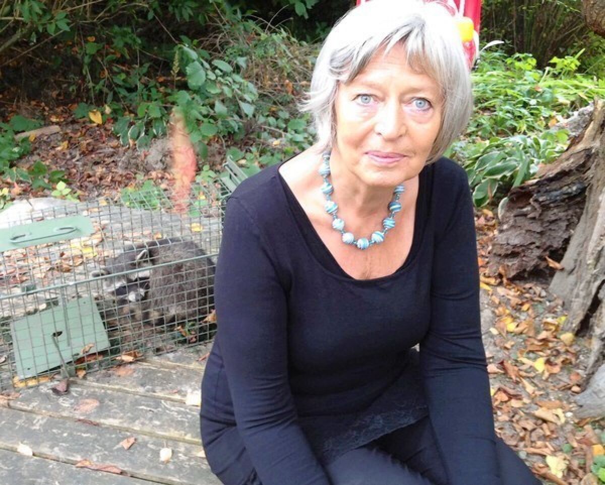Marga Trautmann-Winter, with a trapped raccoon behind her, says the animals eat fruit from her trees and leave her backyard, where her grandchildren like to play, covered in droppings. "They look very smart, but I think they are very dangerous," she says.