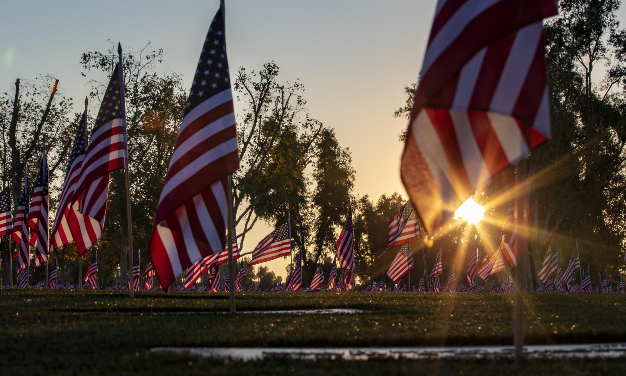 American flags honoring veterans at gravesites at Riverside National Cemetery.