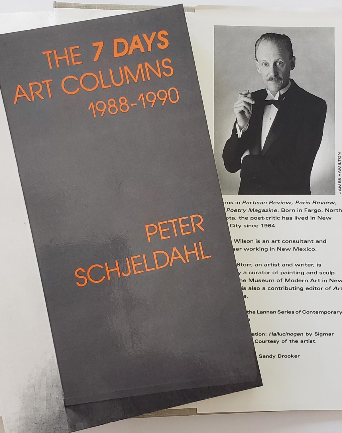 A gray rectangle on which is written "The 7 Days Art Columns 1988-1990" in front of a page with a photo of a man and text.