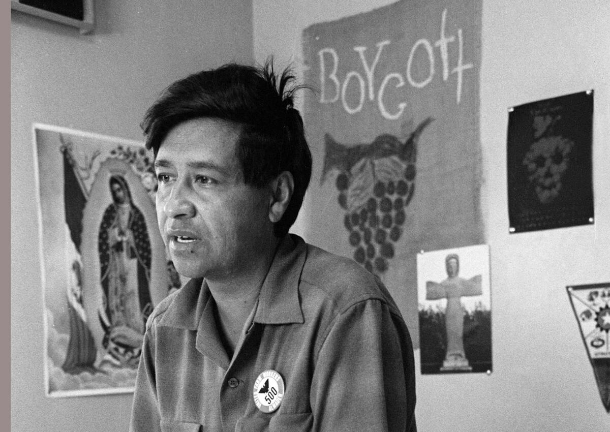 Cesar Chavez, farm worker, labor organizer and leader of the California grape strike, works in a Calif. office in 1965.