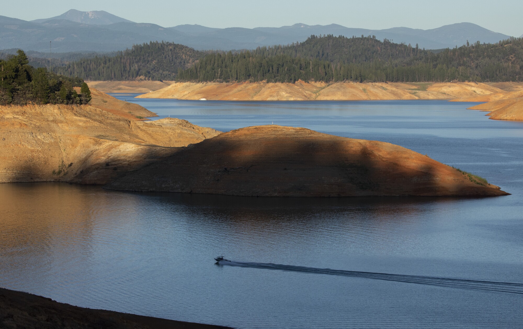 A powerboat sails through the receding waters of Lake Shasta.