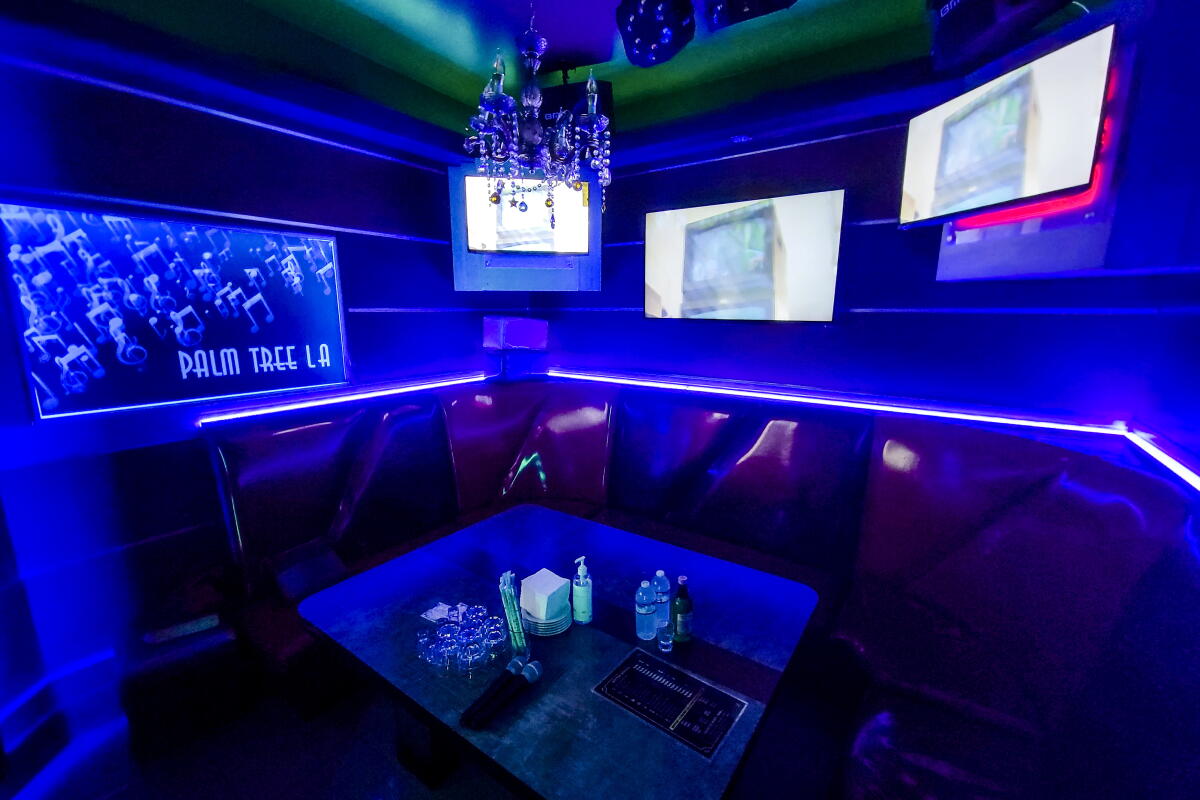 Los Angeles karaoke guide: Best karaoke bars, private rooms - Los Angeles Times