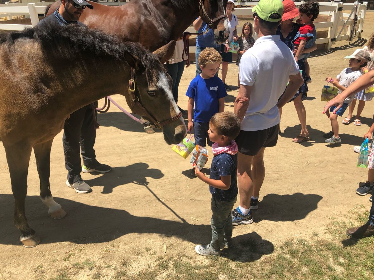 The children enjoying learning about the care of horses - Ella and Ricky - from Fairbanks Riding Club.