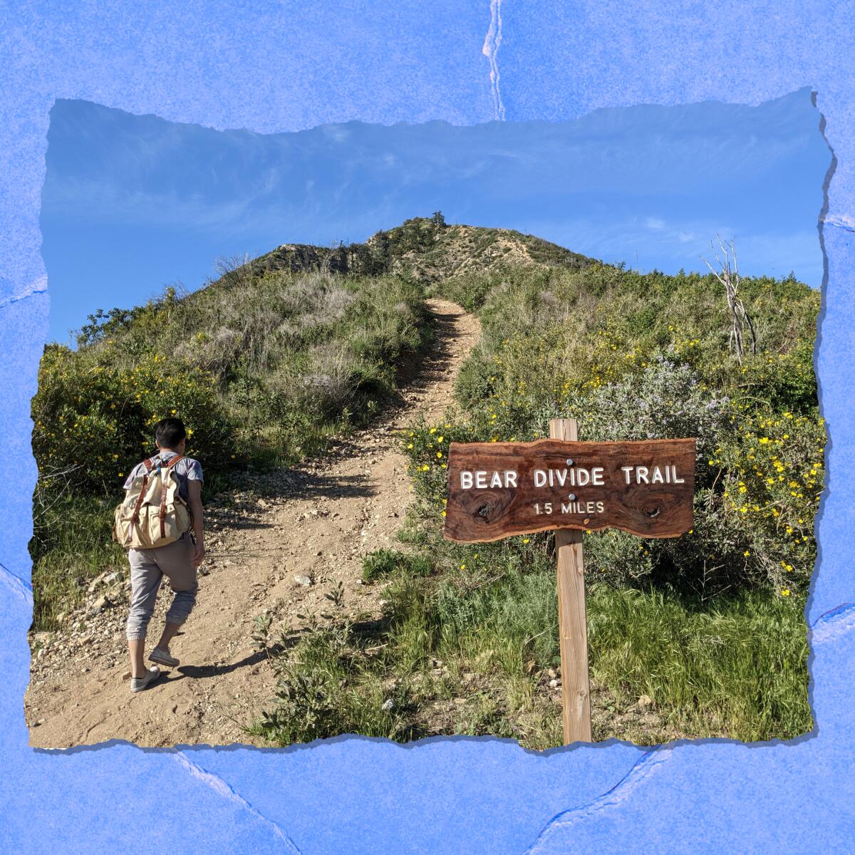 A person with a backpack walks up a dirt trail next to a sign that says "Bear Divide Trail."