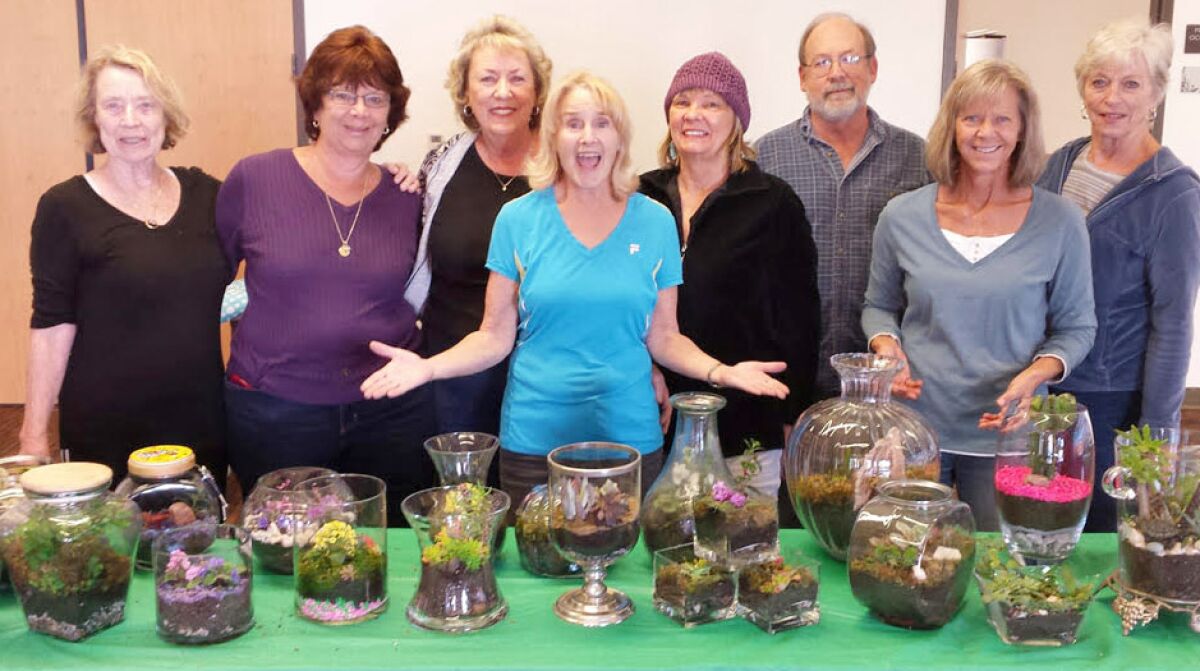 One of the Ramona Garden Club’s many activities is creating terrariums.
