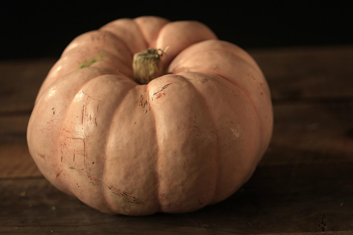 Your guide to holiday pumpkins and squash