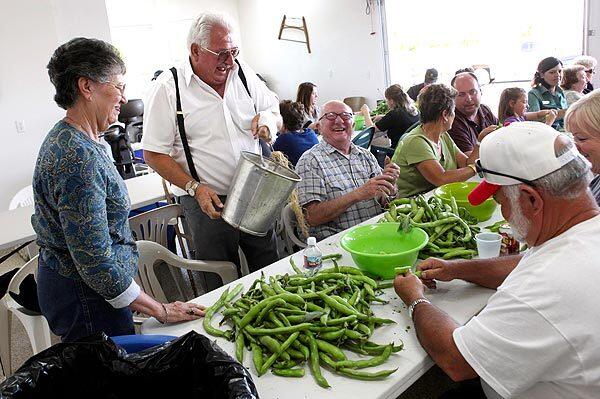 Joe Fagundes laughs after putting fava beans on a table for friends and family to husk for Fava Bean Day. See full story