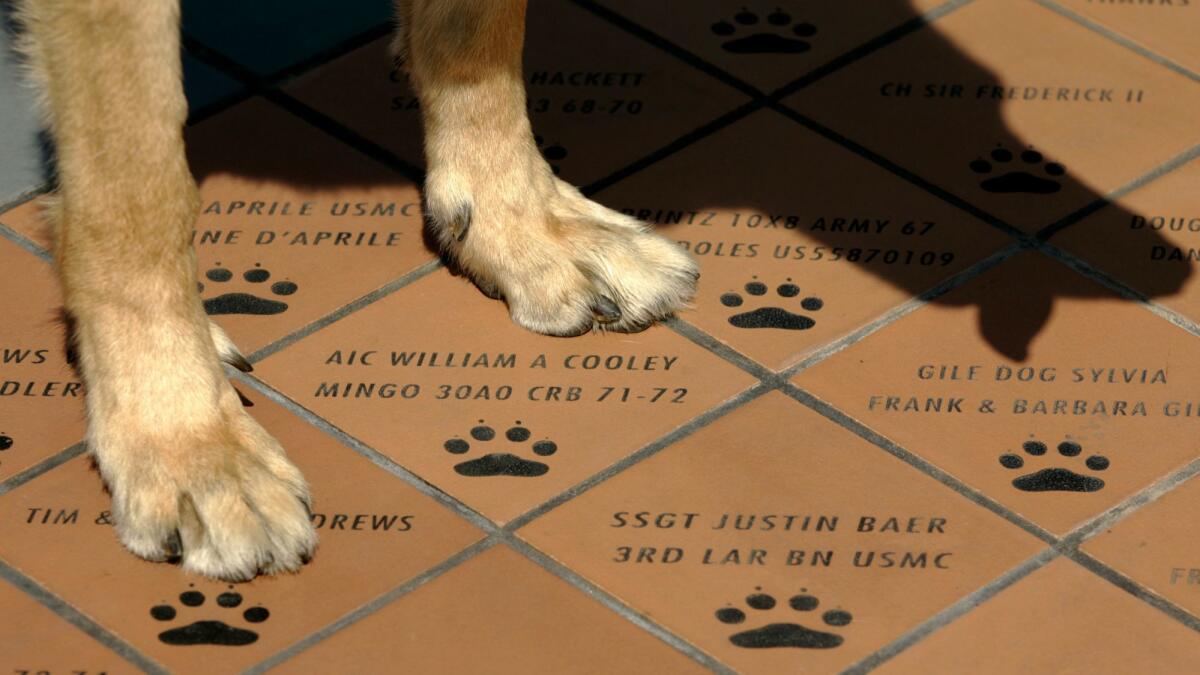 Small tiles carrying the names of war dogs and their handlers name are installed at the foot of War Dog Memorial at March Field Air Museum in Riverside.