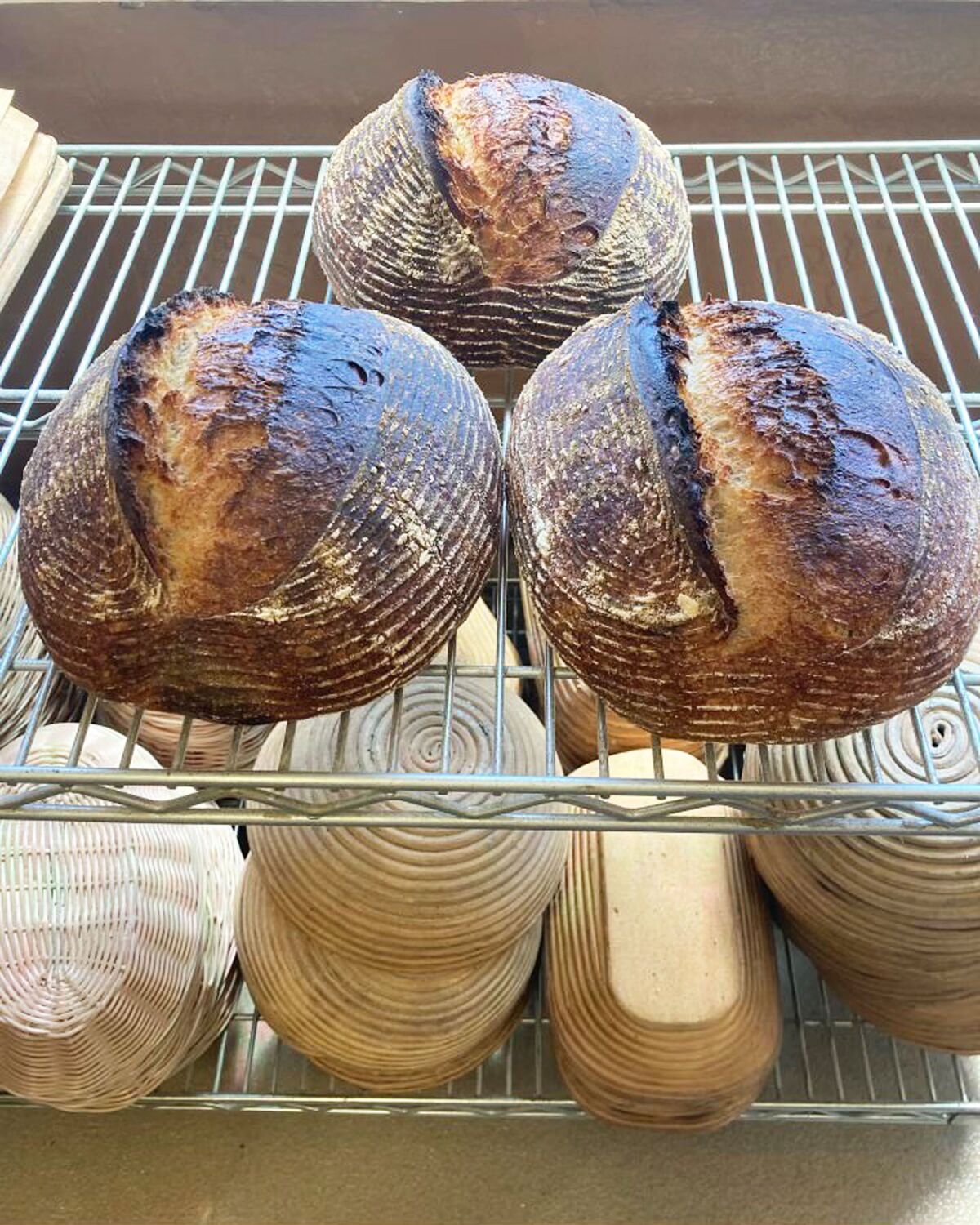 Bread loves come in many varieties at Wildwood Flour.